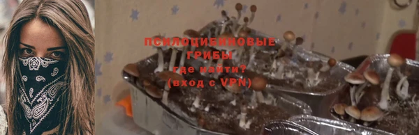 mix Касимов