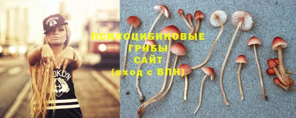 mix Касимов