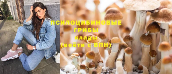 mix Касимов