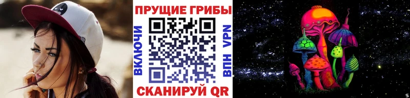 Купить где  Оса  Псилоцибиновые грибы Magic Shrooms 