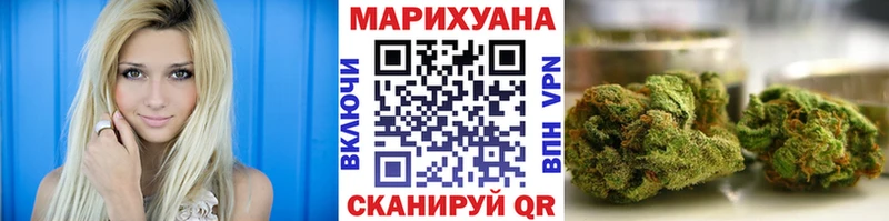 Купить  Оса  Канабис планчик 
